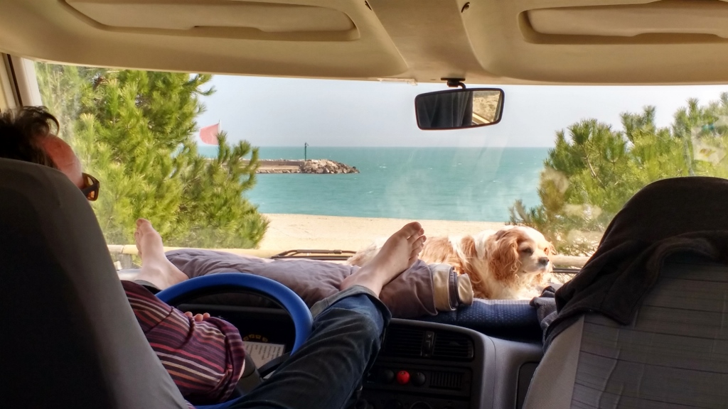 Charlie on Motorhome Dashboard