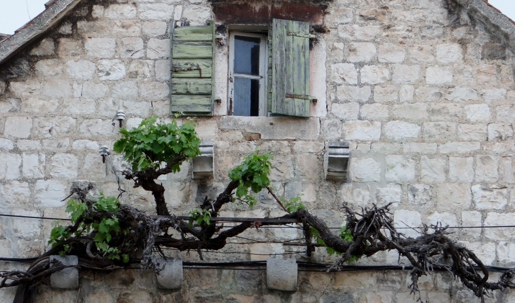 My Favourite Window in Trogir