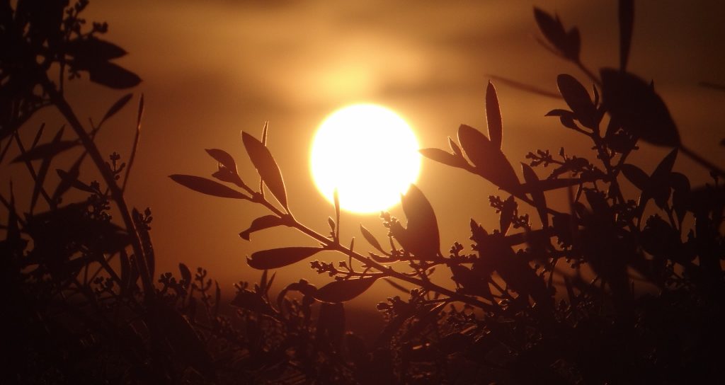 We'd become used to these Čiovo sunsets