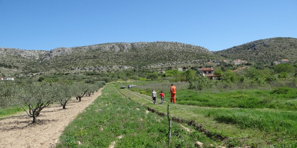 A rare bit of agriculture on our ride to Sibenik