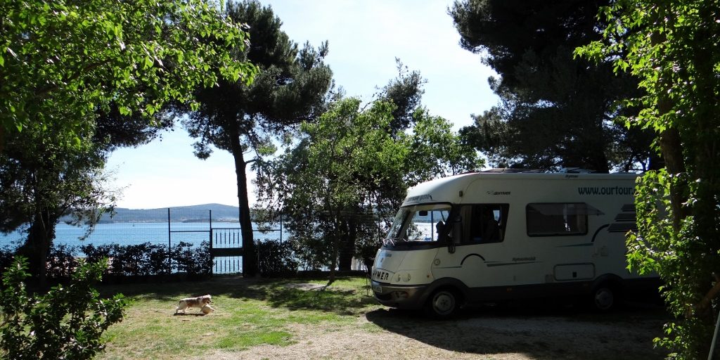 Charlie playing ball on his own personal campsite