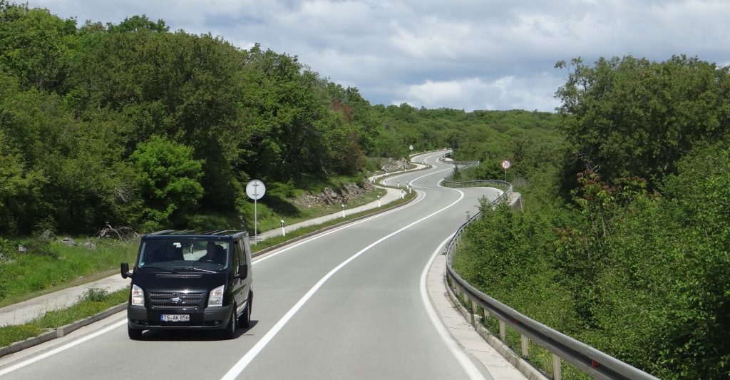 The tree-lined 102 across Krk, the fresh leaves look too green to the eye