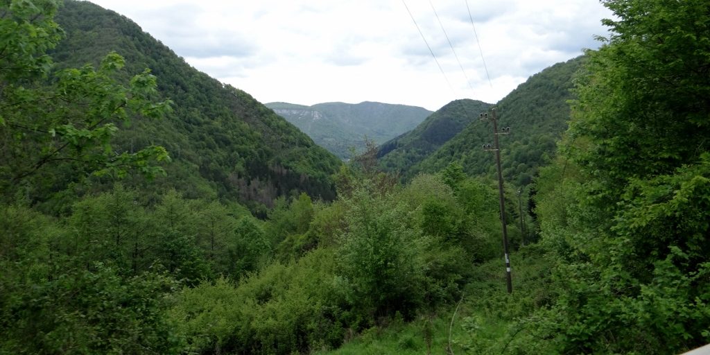 Tree-scape as we headed north towards Slovenia