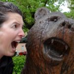 Ju's bear-management approach