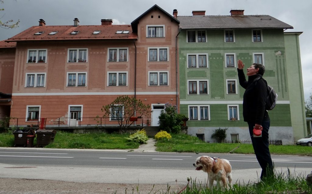 The Skyscaper Kocevje