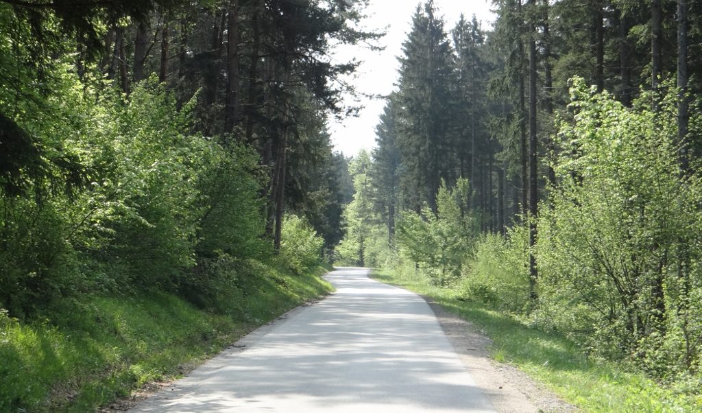 Bye bye tarmac, Kočevski Rog, Slovenia