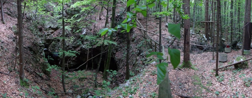 One pit where a handful of people managed to escape. Wounded, they managed to crawl into a side-cave when the entrance was mined several times. A tree fell across the entrance, allowing them to pull themselves out and flee