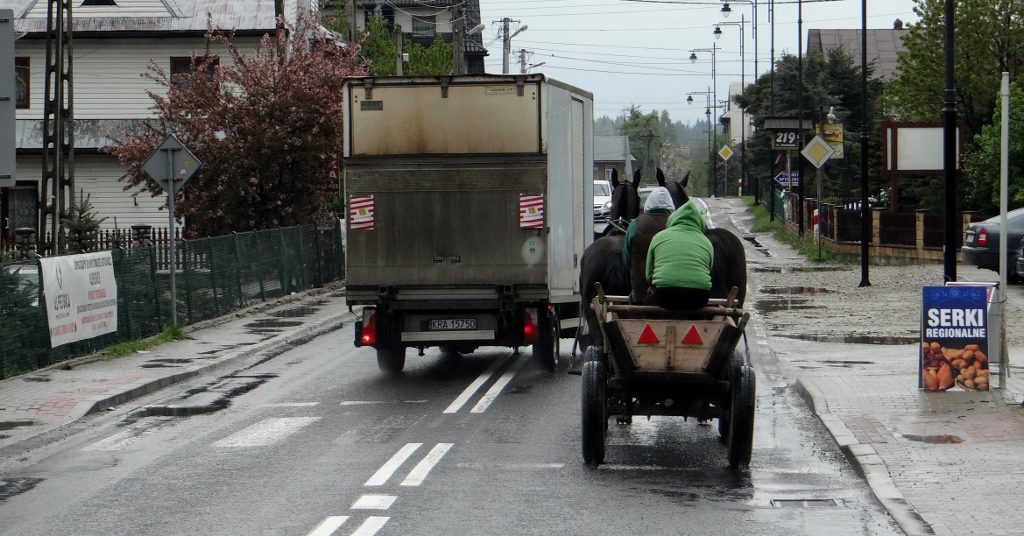 Horse and carriage on road Poland
