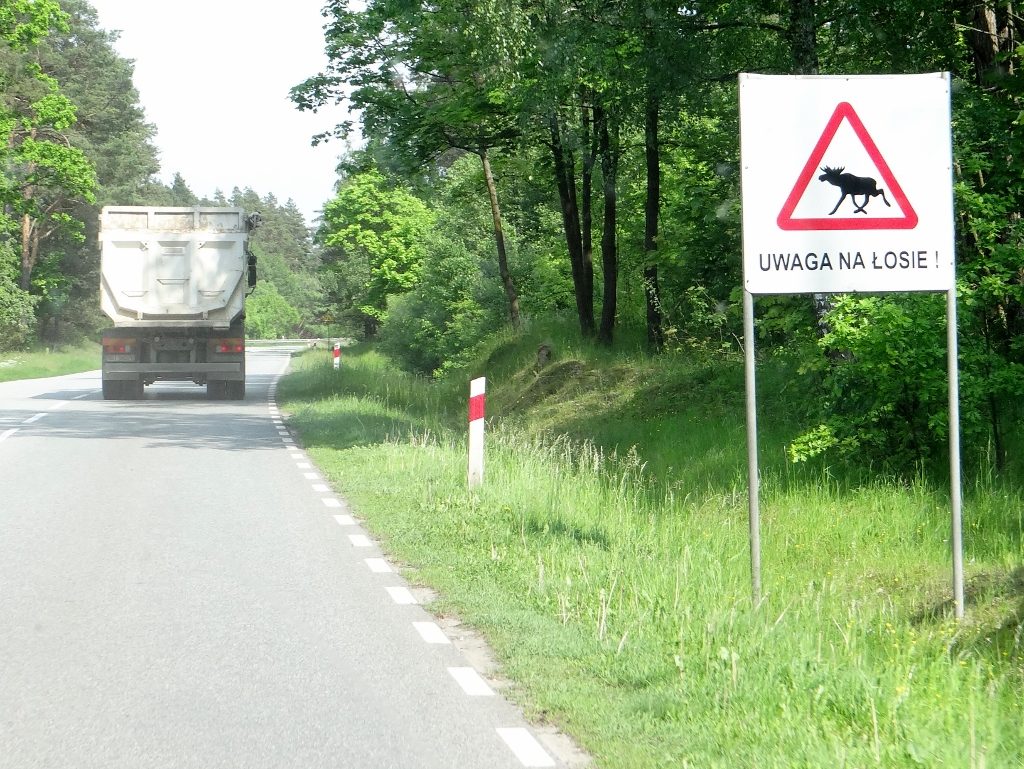 Moose Roadsign Poland