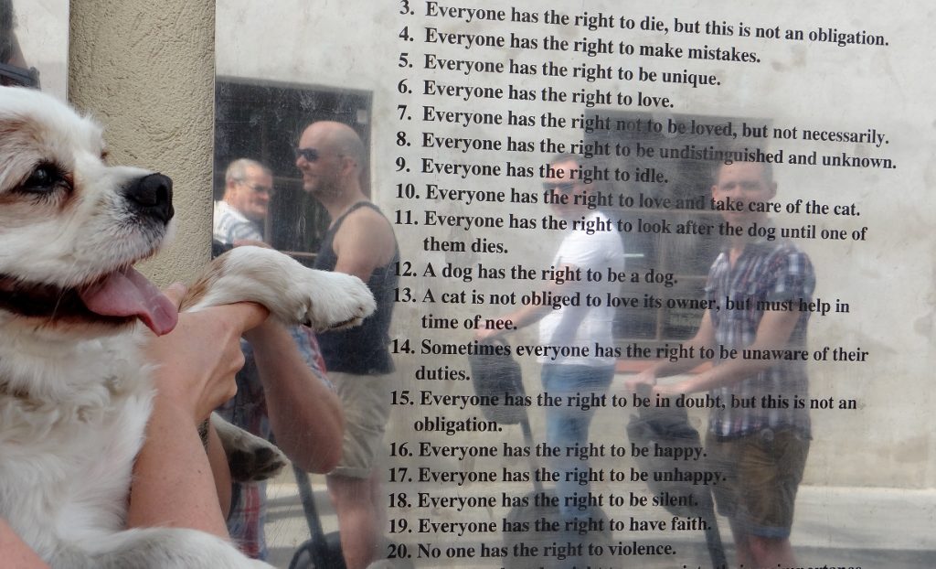 Charlie's liking point 12 of the Užupis constitution. I like all points!