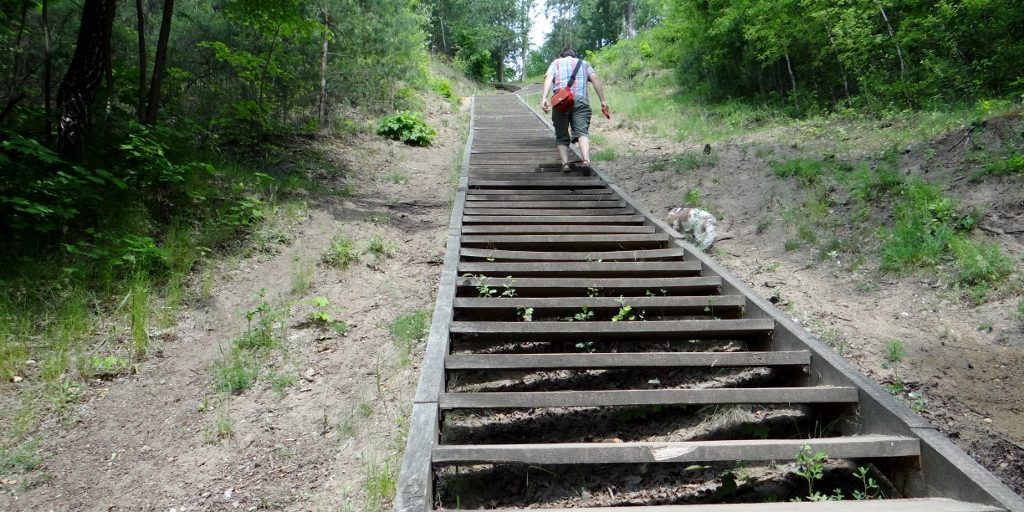 Alright, more than a few steps!