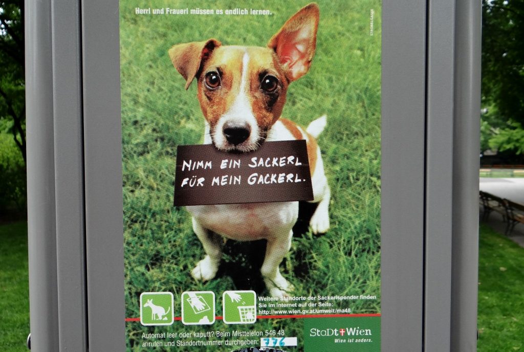 Shame he didn't fancy joining us as there were loads of free pooch bags