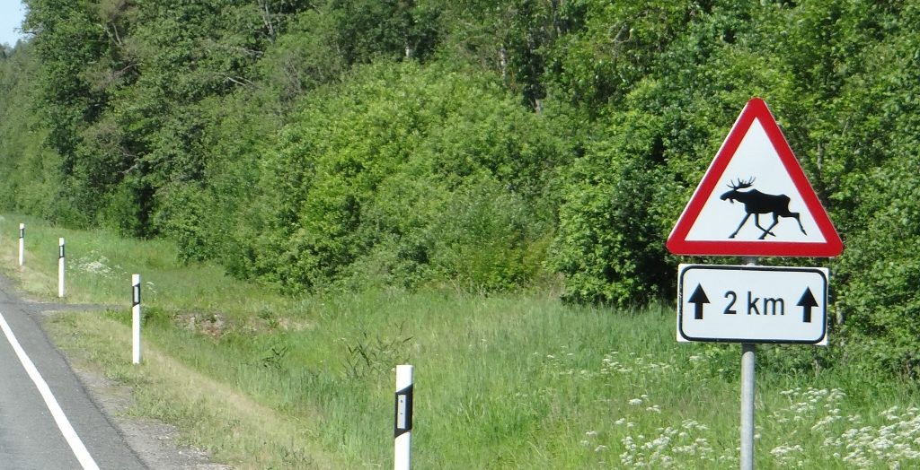 Not seen a single moose yet. Who do I sue?