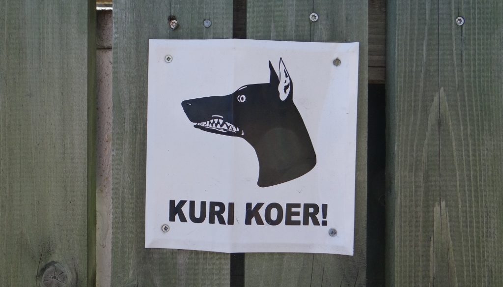 Blimey, their dog's not messing about!