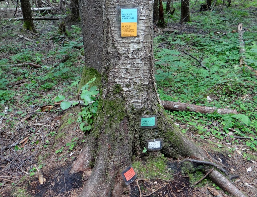 Soomaa National Park