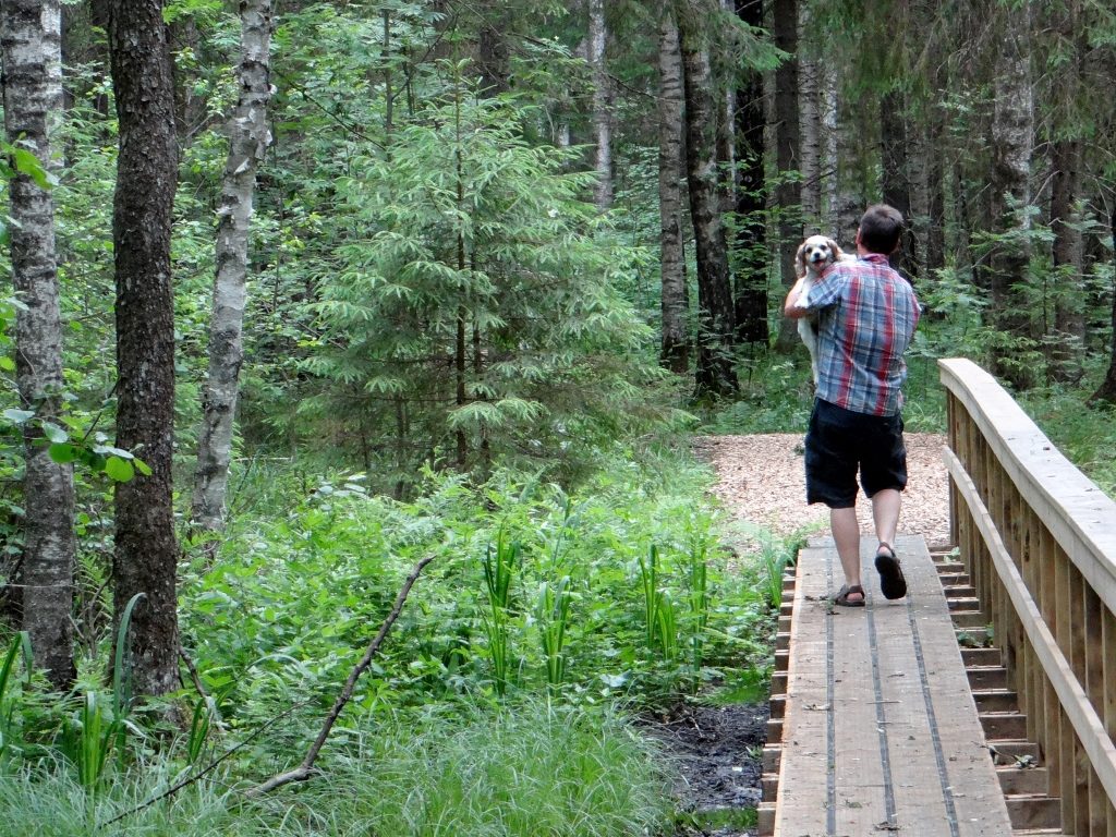 Soomaa National Park