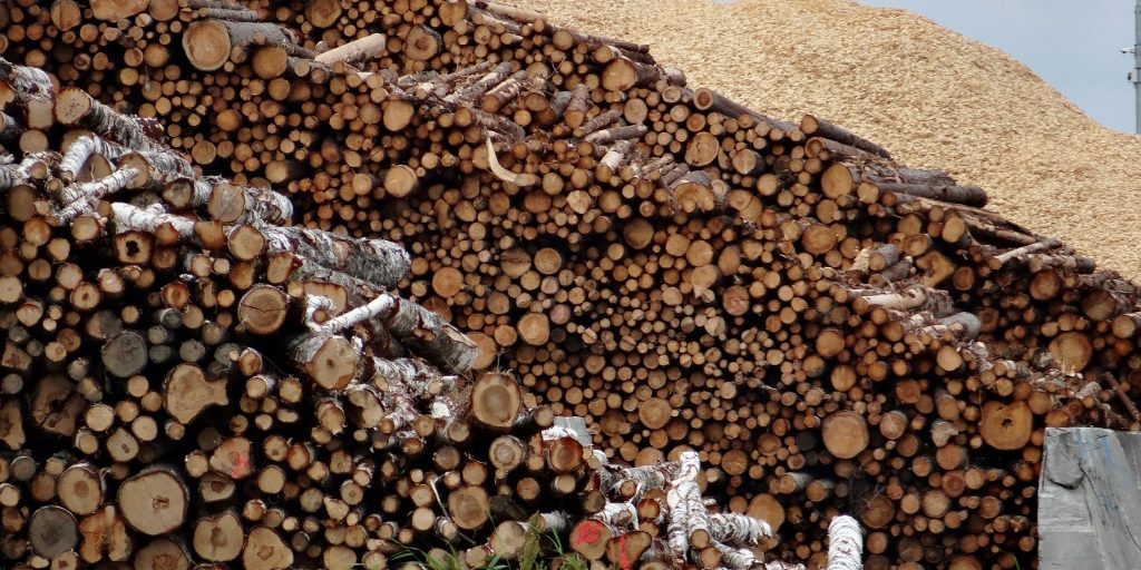 The HUGE woodyard next to us. The trees look like match sticks.