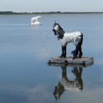 Sea art Haapsalu, Estonia