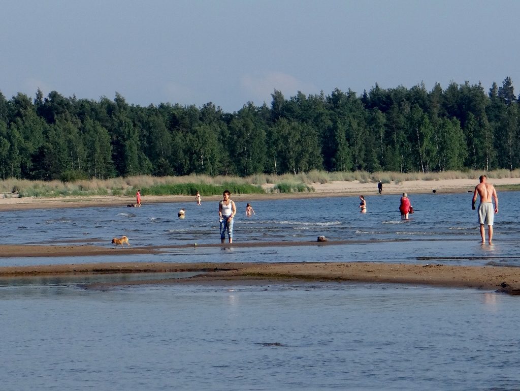 Dog friendly beach Finland