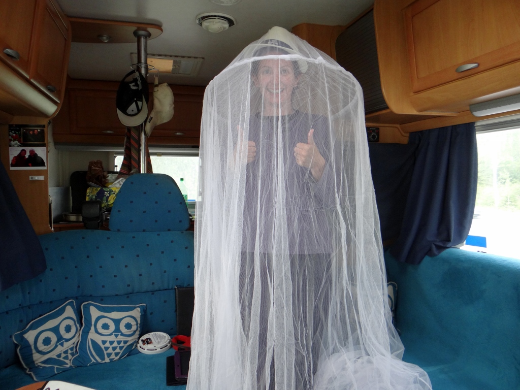 mosquito net