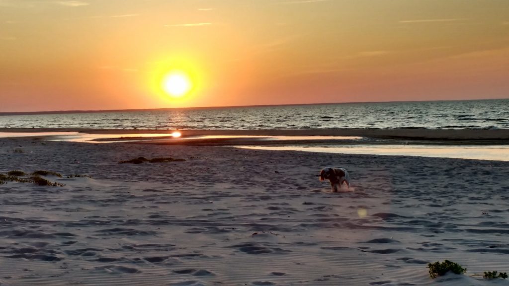 Beaches in northern Italy are privately owned, and the punters are packed on 'em. Here the beach is public, miles upon miles of it, with no development and practically no people