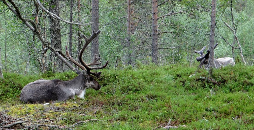 What a wonderful sight