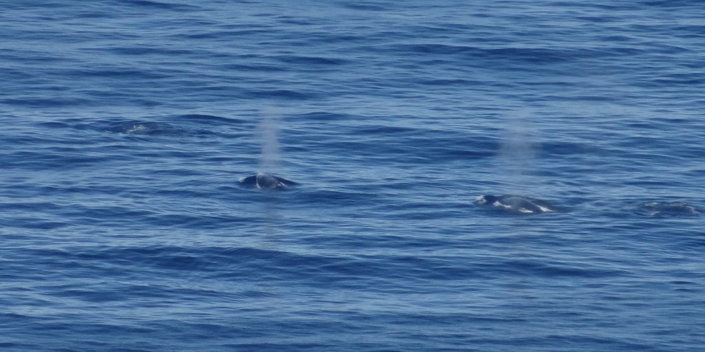 DSC05472 (1024x512)