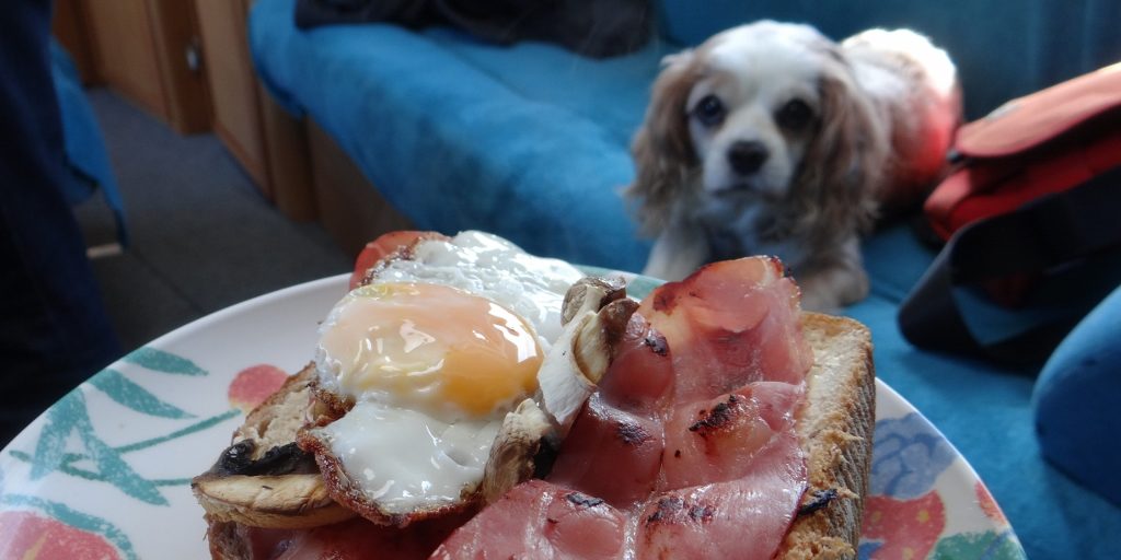 The world's most norther bacon and egg sarnies, probably