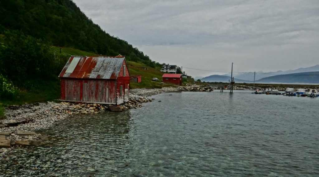The view to my left. The waters up here rival anything from Greece or Croatia for clarity, but are somewhat cooler up here. A hooded wetsuit with gloves is enough to let me snorkel though, in July at least