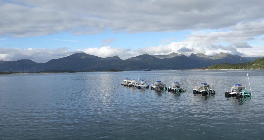 Fish farm in the Norwegian Sea on the way to Hamn