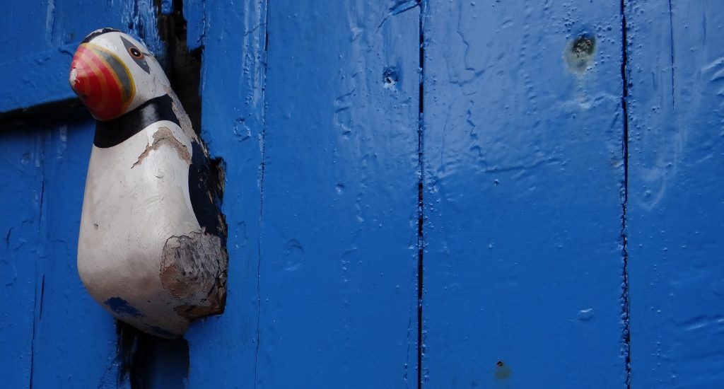 Deranged puffin shouting 'Here's Johnny'?