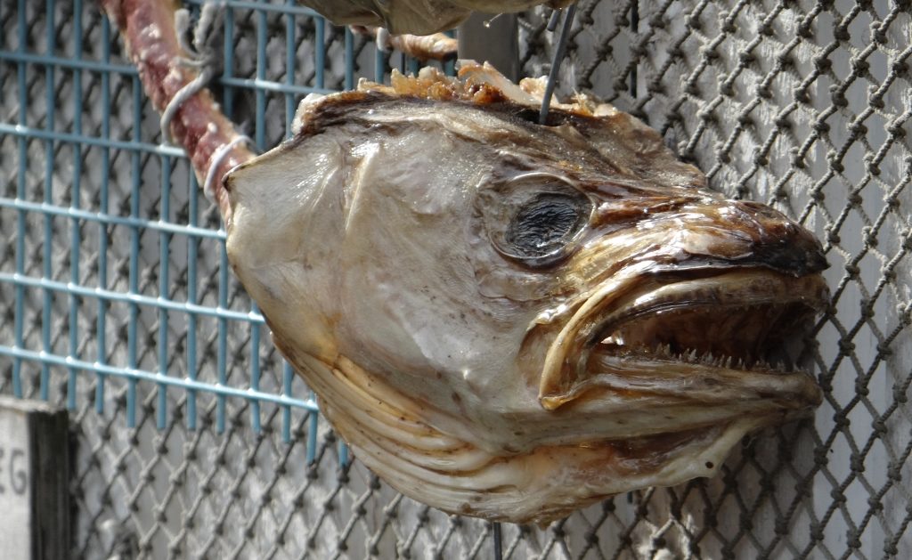 Dried cod head, only a tenner to you sir
