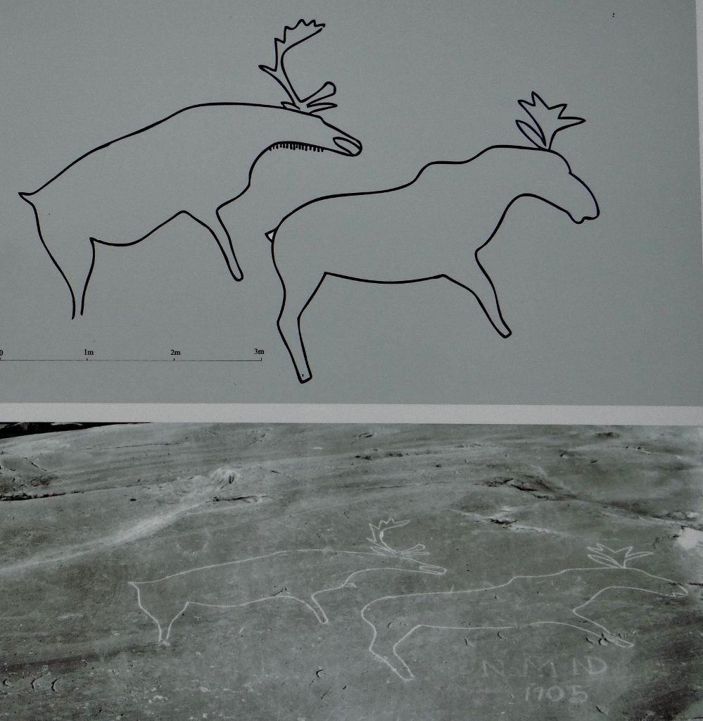 Rock art information board Norway