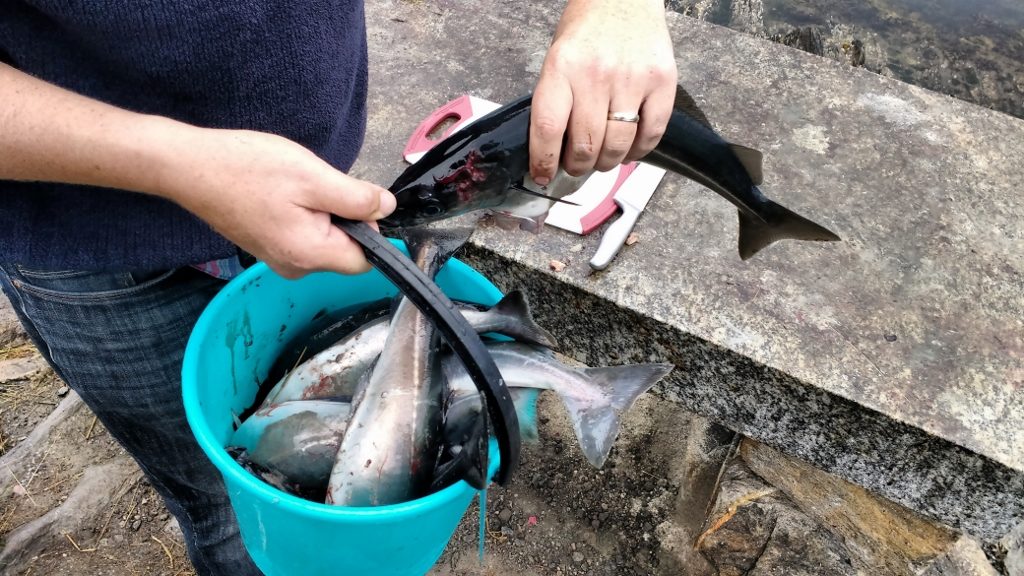 Having never caught so many fish, I had no idea how long it would take to prepare 'em all!