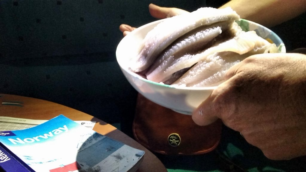 Fillets of fish. Zagan looked and smelled like the inside of a chippy last night