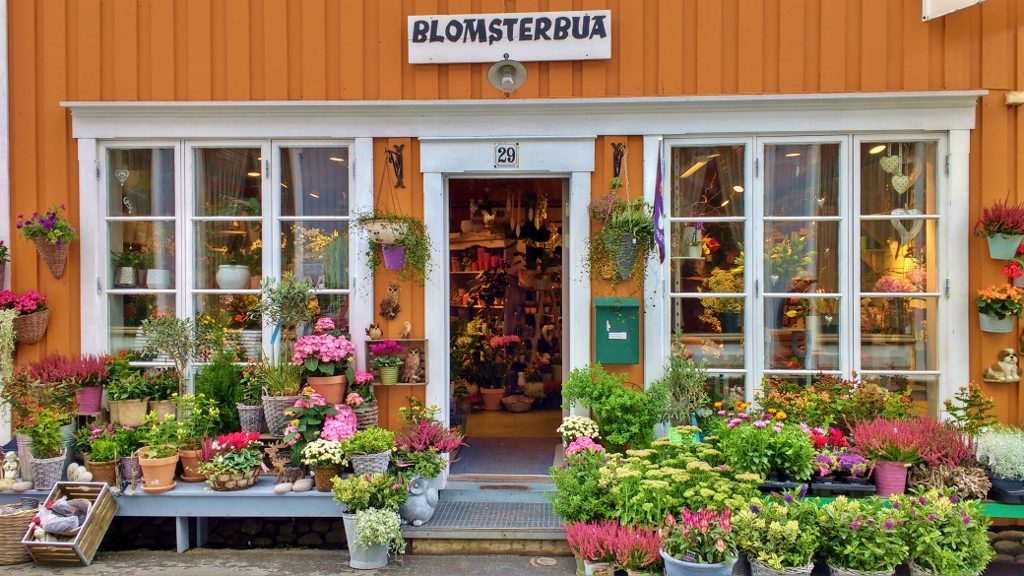 Florist Mosjøen, Norway