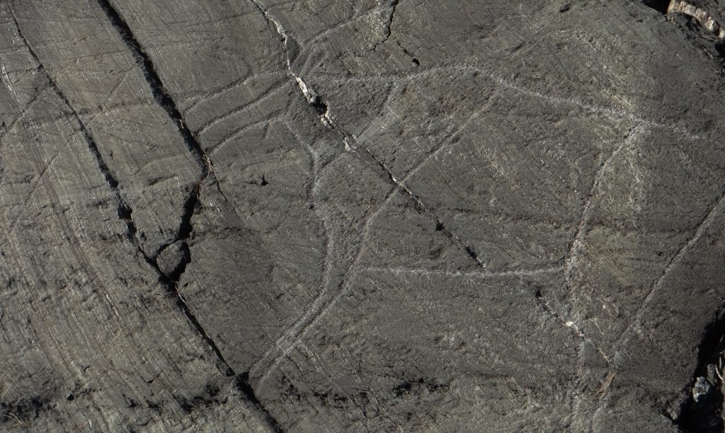 Stone-age rock carvings on the route here, a little way off the road facing out into the fjord