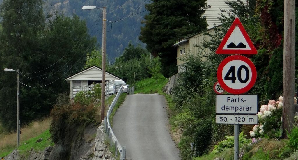 Gotta love those speed hump signs!
