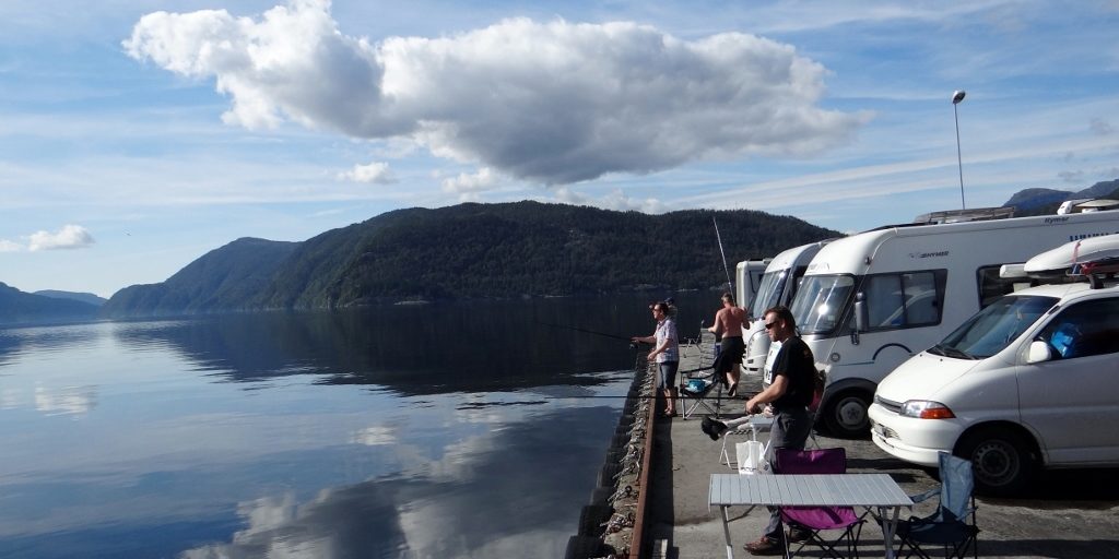 The great fish-off in action