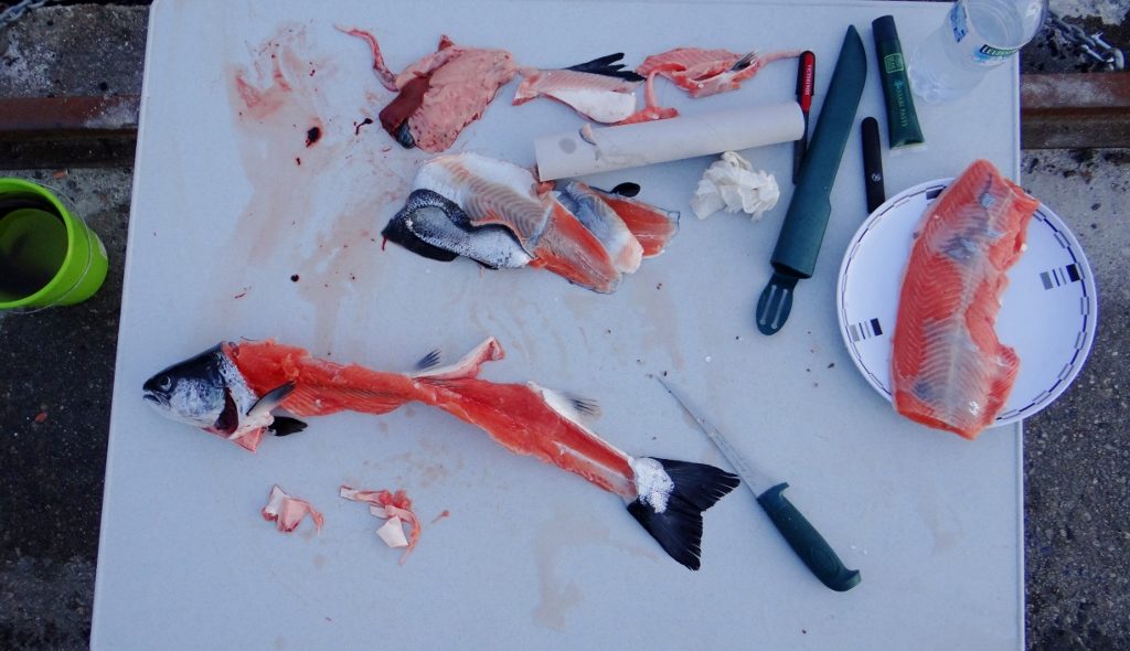 Scene of the crime! You can imagine Charlie was going nuts at this point, his nose was working overtime