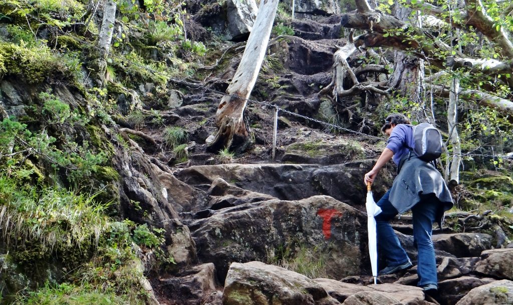 On the way up to the Rampestreken viewpoint, 580 metres