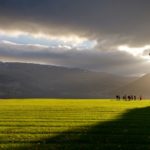Tai chi by Lake Vangsvatnet