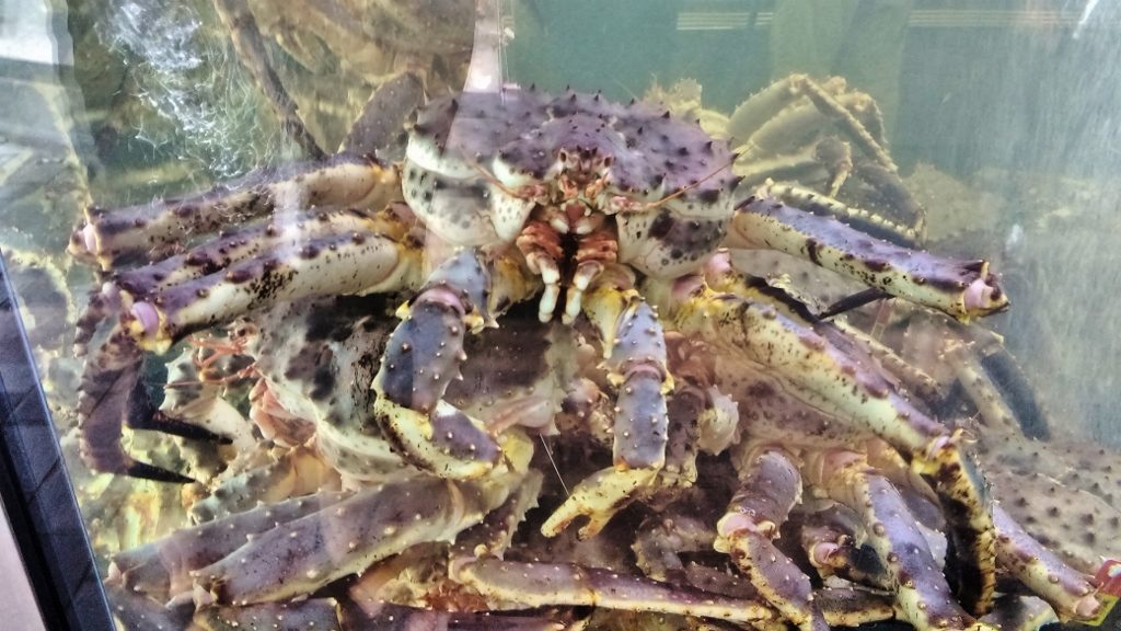 img_20160915_123106454-1024x576