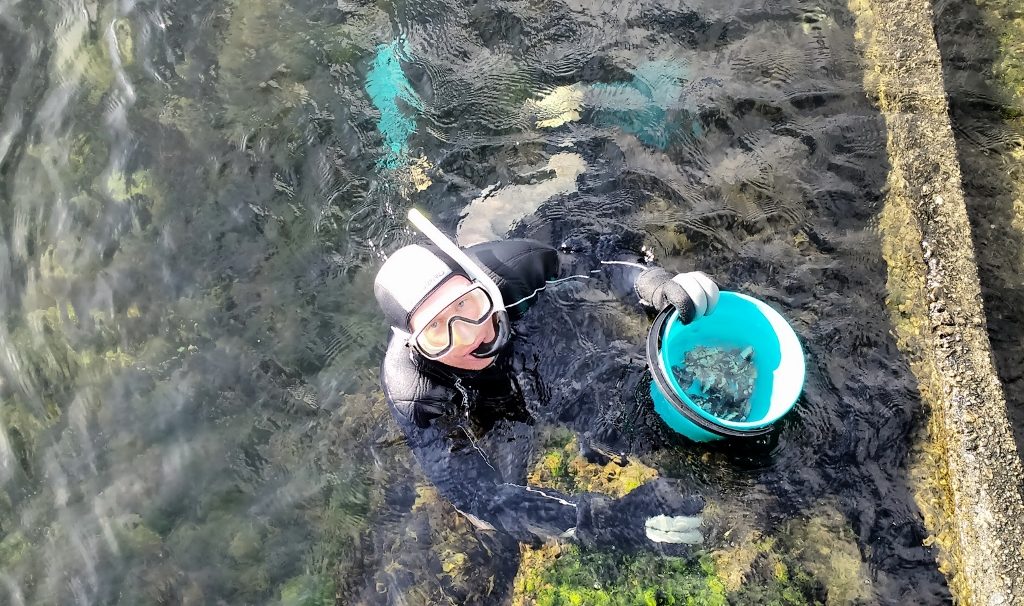5mm, hood and gloves, toasty in the Norwegian Sea