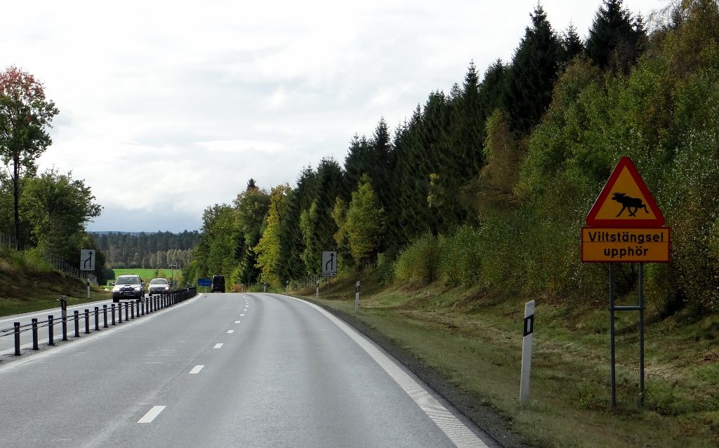 Outta my way moosy, Denmark's calling