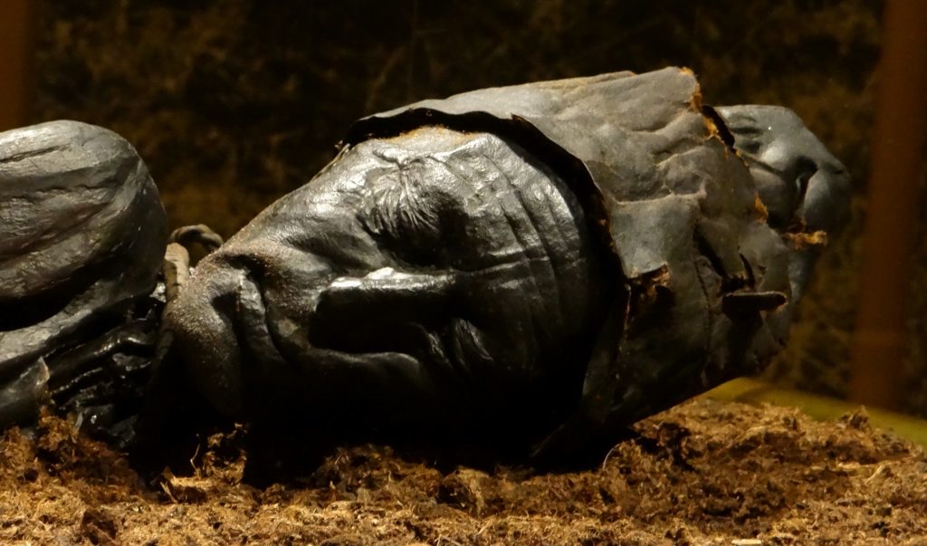 Tollund Man