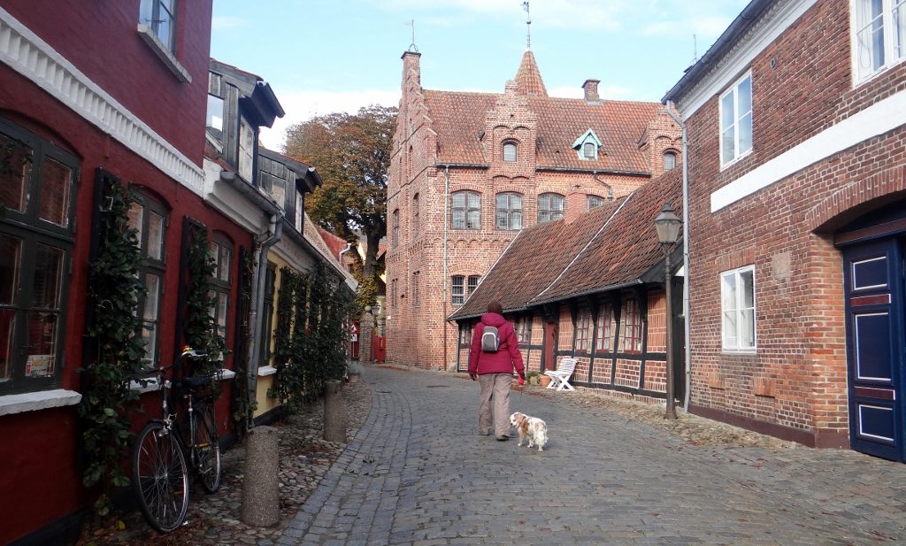 A backstreet in Ribe