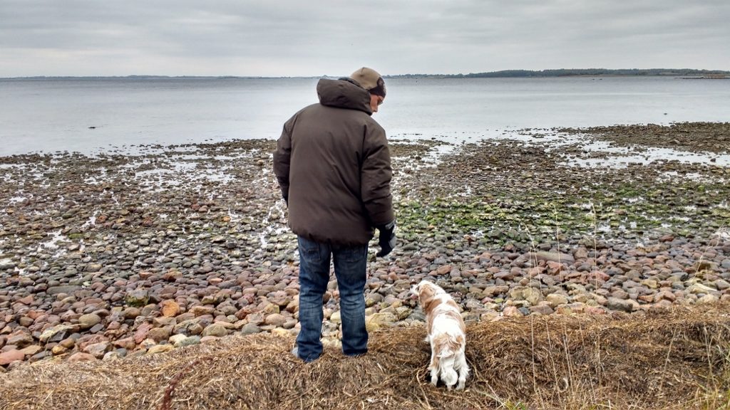 Man and dog love at Roskilde Fjord