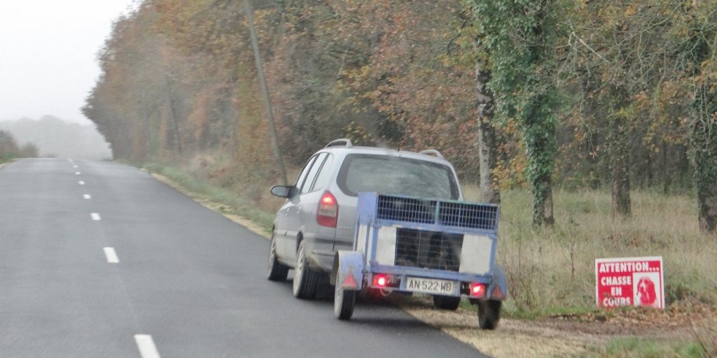 Dogs on way to hunt France