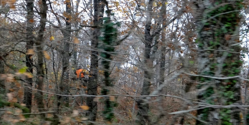 Hunter in woods France